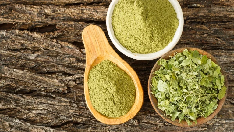 Moringa Tree Powder
